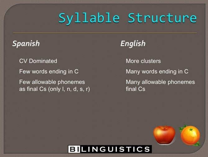 [Image: Syllable structure.jpg]